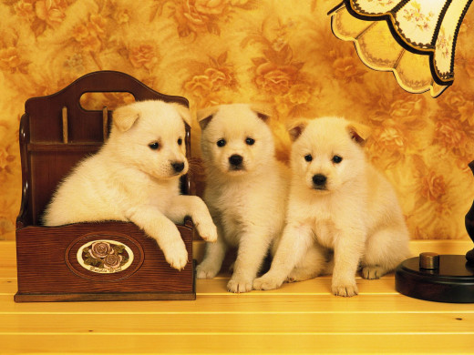 349462 (a): :1600x1200